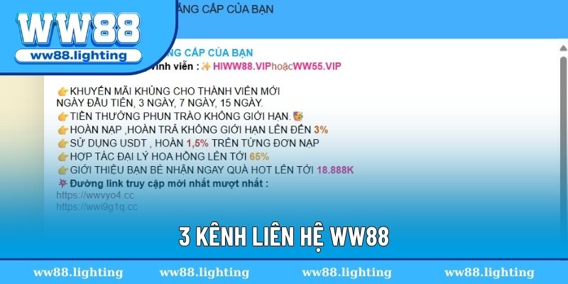 Tổng hợp 3 kênh liên hệ WW88 phổ biến, tiện lợi hiện nay
