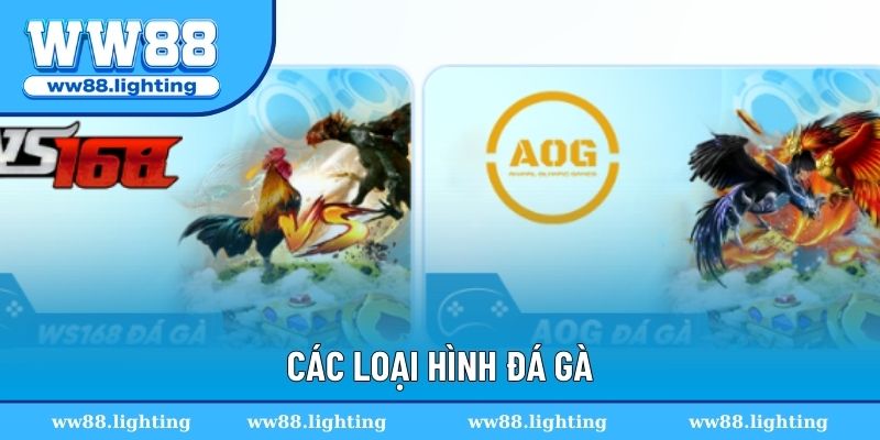 Các loại hình đá gà online hấp dẫn cho hội viên