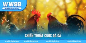 chien-thuat-cuoc-da-ga