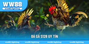 da-ga-s128-uy-tin