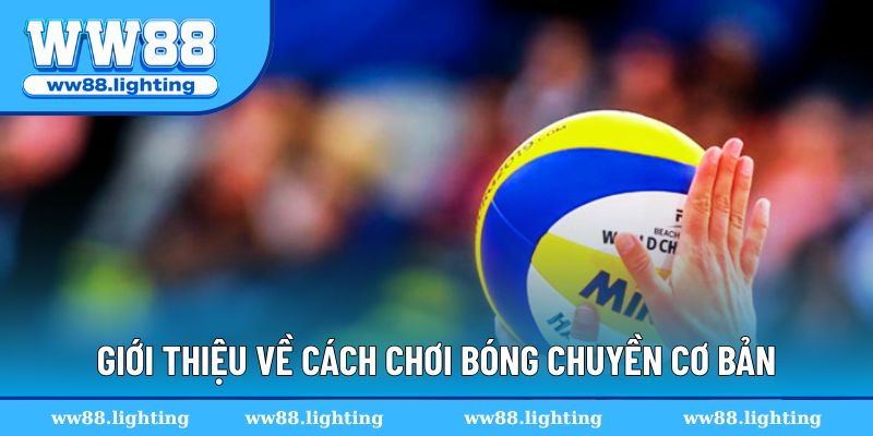 Giới thiệu về cách chơi bóng chuyền cơ bản - Lý do bạn nên chơi