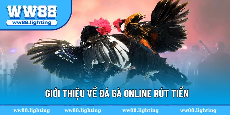 Giới thiệu về đá gà online rút tiền