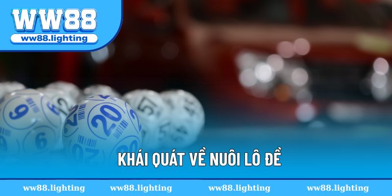 Khái quát về nuôi lô đề