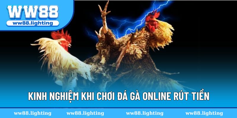 Kinh nghiệm thanh toán an toàn khi chơi đá gà online rút tiền