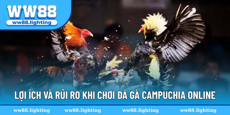 Lợi ích và rủi ro khi chơi đá gà Campuchia online