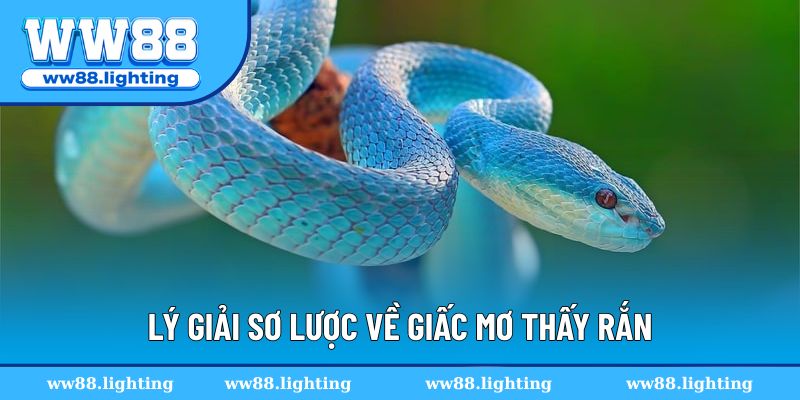 Trong lô đề mơ thấy rắn có nghĩa gì?