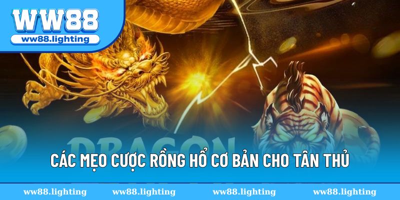 Mẹo cược dành cho tân thủ mới tham gia