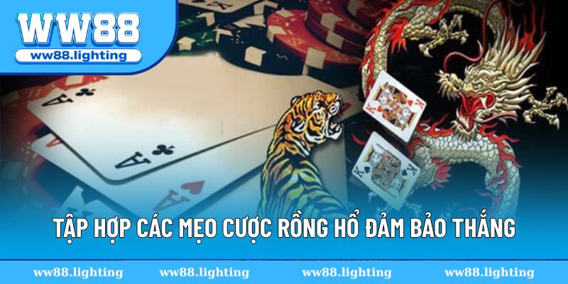 Mẹo cá cược Dragon Tiger 100% giành chiến thắng