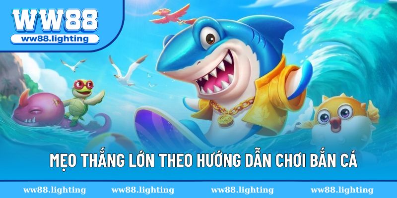 Mẹo thắng lớn khi trải nghiệm chơi săn cá