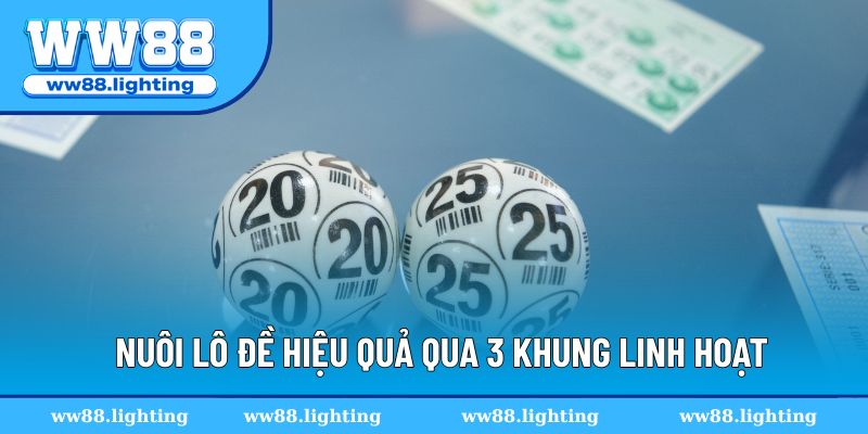 Nuôi lô đề hiệu quả qua 3 khung linh hoạt