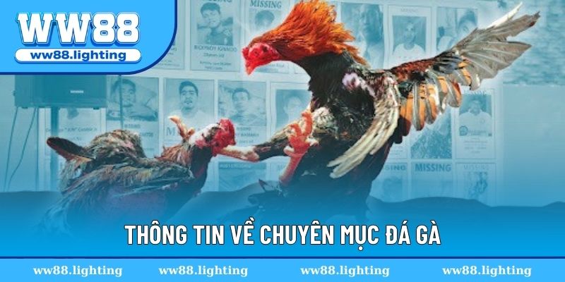 Thông tin chi tiết về sảnh cược đá gà trực tuyến